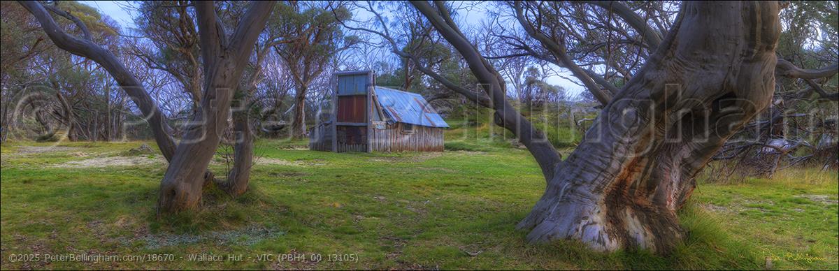 Peter Bellingham Photography Wallace Hut - VIC (PBH4 00 13105)